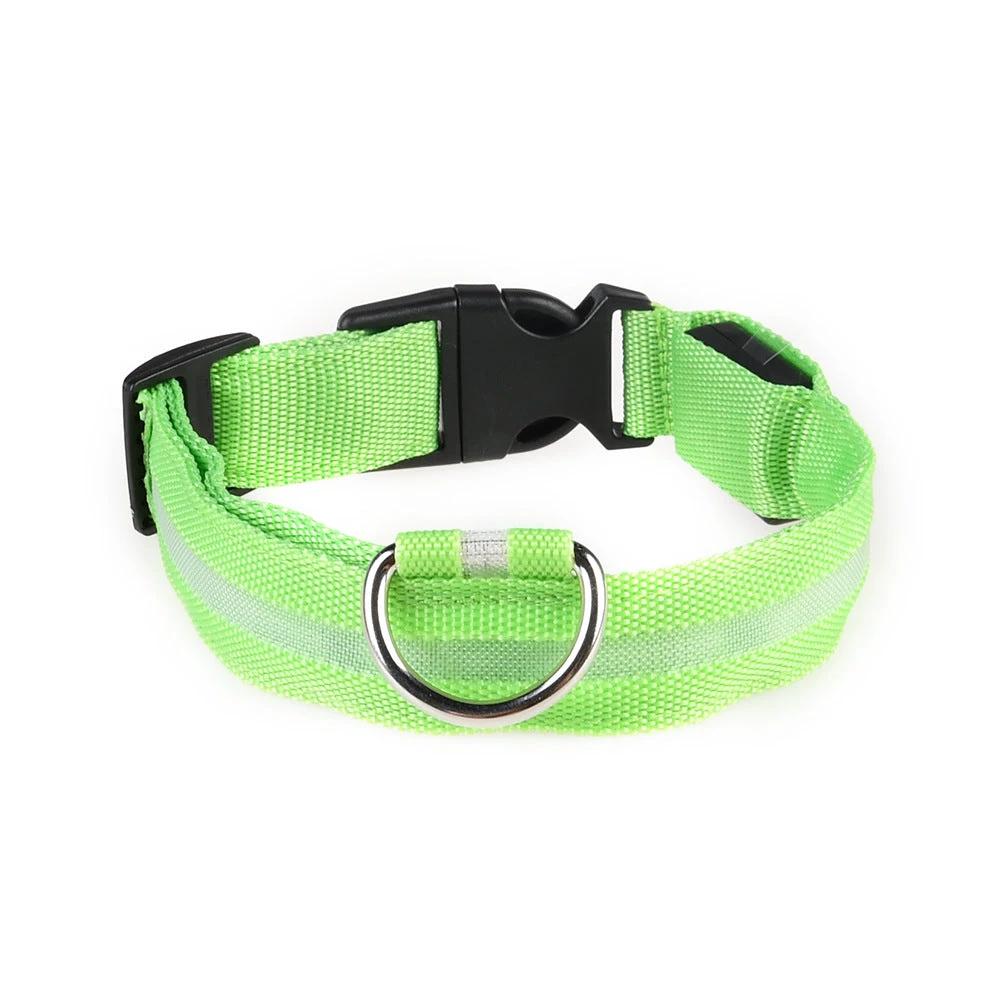 Collier LED Pour Chiens Et Chats – Haute Visibilité Nocturne - LSDLBoutique