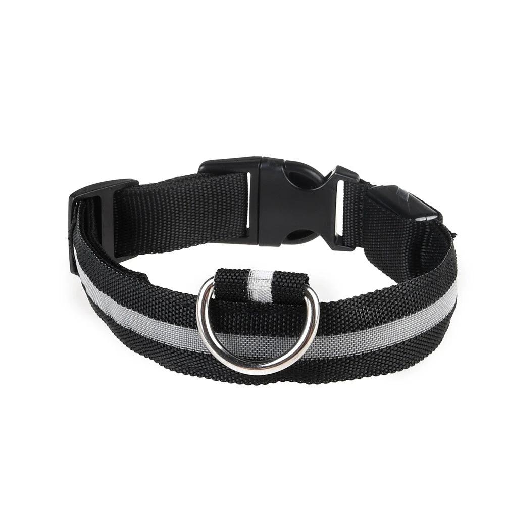 Collier LED Pour Chiens Et Chats – Haute Visibilité Nocturne - LSDLBoutique