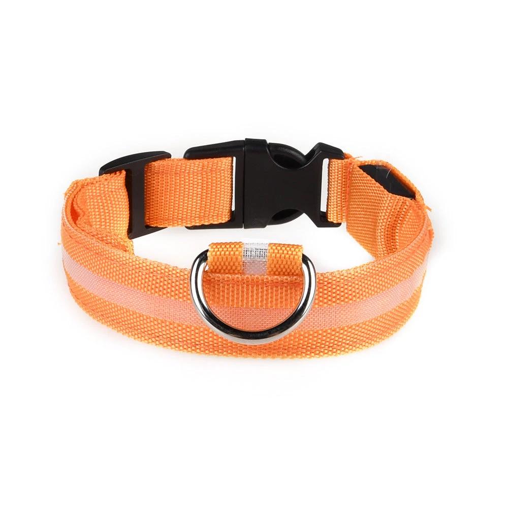 Collier LED Pour Chiens Et Chats – Haute Visibilité Nocturne - LSDLBoutique