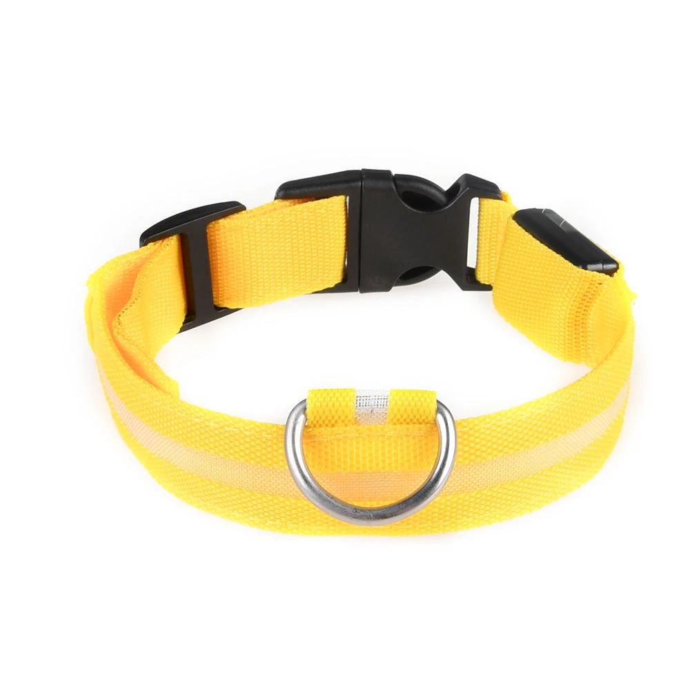Collier LED Pour Chiens Et Chats – Haute Visibilité Nocturne - LSDLBoutique