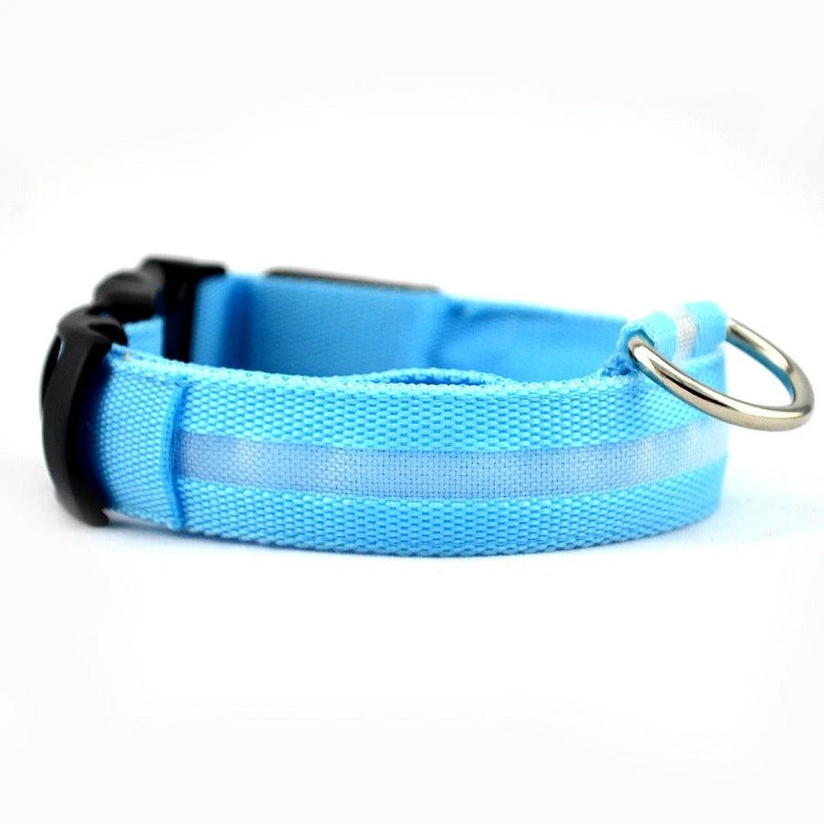 Collier LED Pour Chiens Et Chats – Haute Visibilité Nocturne - LSDLBoutique