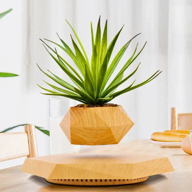 Pot de plante lévitant magnétique – Rotatif - LSDLBoutique