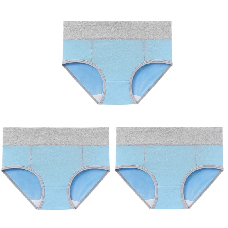 Culotte taille haute coton lot de 3 – Chen Asta