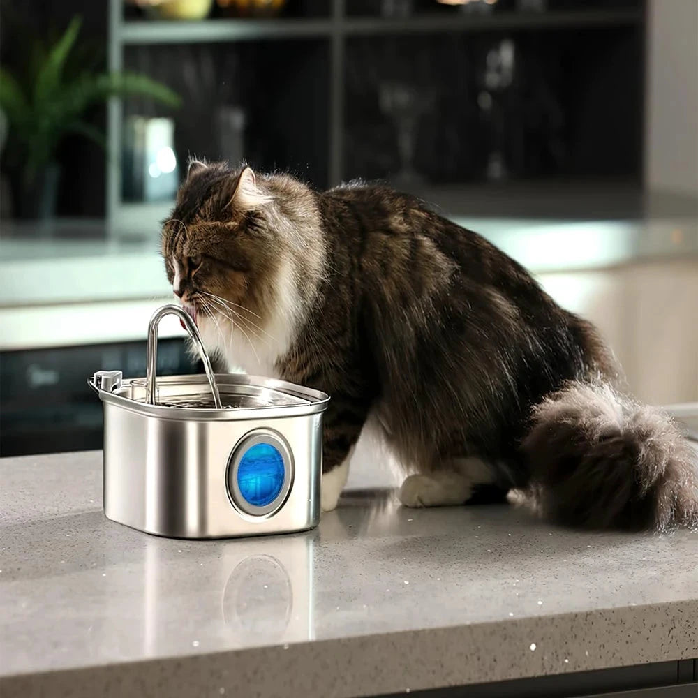 Distributeur automatique chat avec fontaine inox - LSDLBoutique