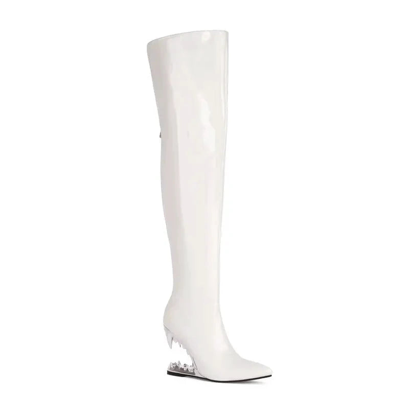 Cuissardes Femme Hautes - LSDLBoutique
