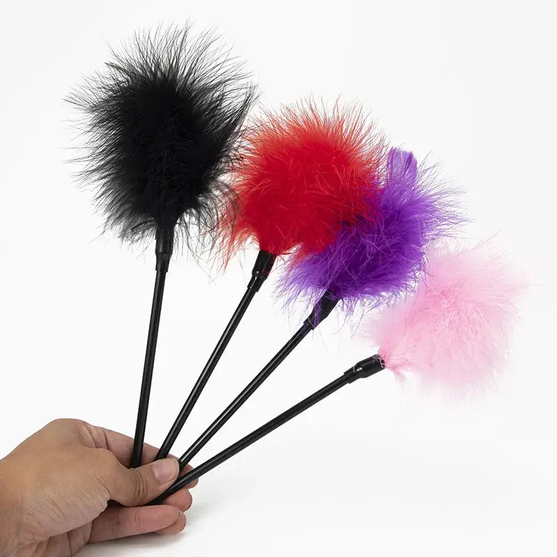 Chatouille en plumes - ensemble de 5 plumes sur tiges noires (noir, rouge, violet, rose clair, rose vif)