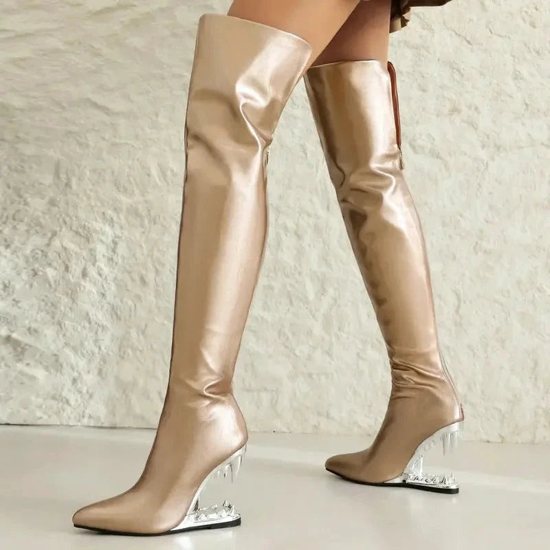 Cuissardes Femme Hautes - LSDLBoutique