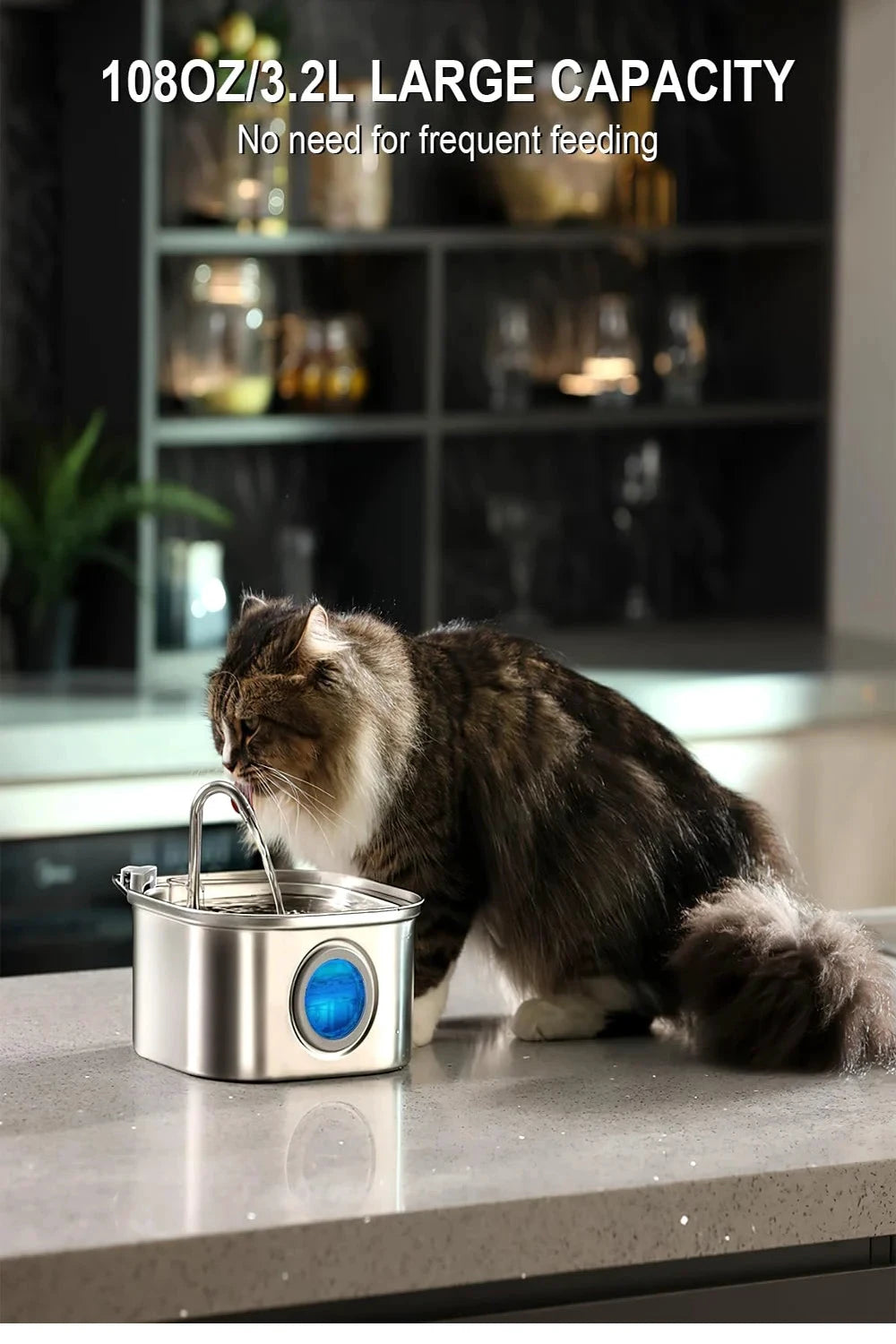 Distributeur automatique chat avec fontaine inox - LSDLBoutique