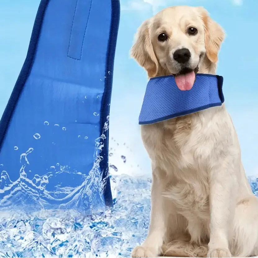 Bandana de Refroidissement pour Chien