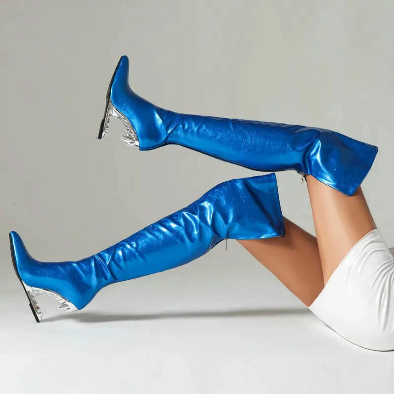 Cuissardes Femme Hautes - LSDLBoutique