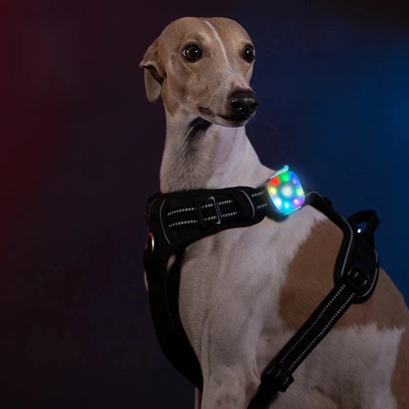 Lumière LED rechargeable pour collier ou harnais de chien – vue 2 | Les Secrets de Léa